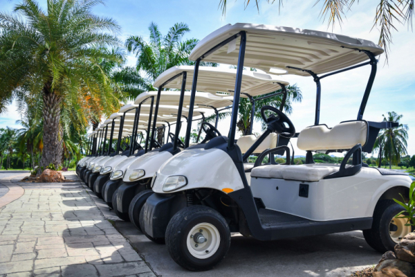 Golf Cart Registration | City of Westlake, Florida