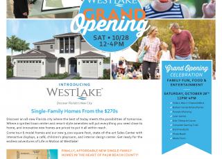 Grand Opening Flyer